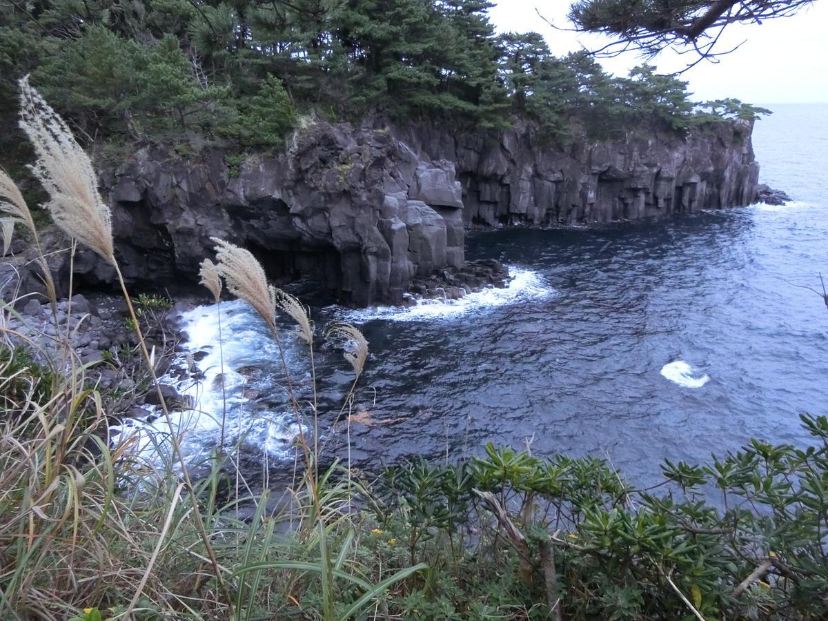 Pension Izukogen Ito  Exterior photo